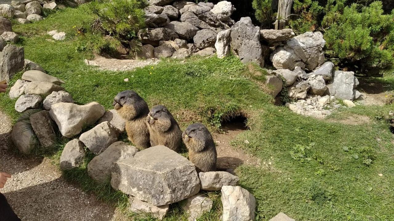 Ferienwohnung Maria-Wies Schönau am Königssee Εξωτερικό φωτογραφία